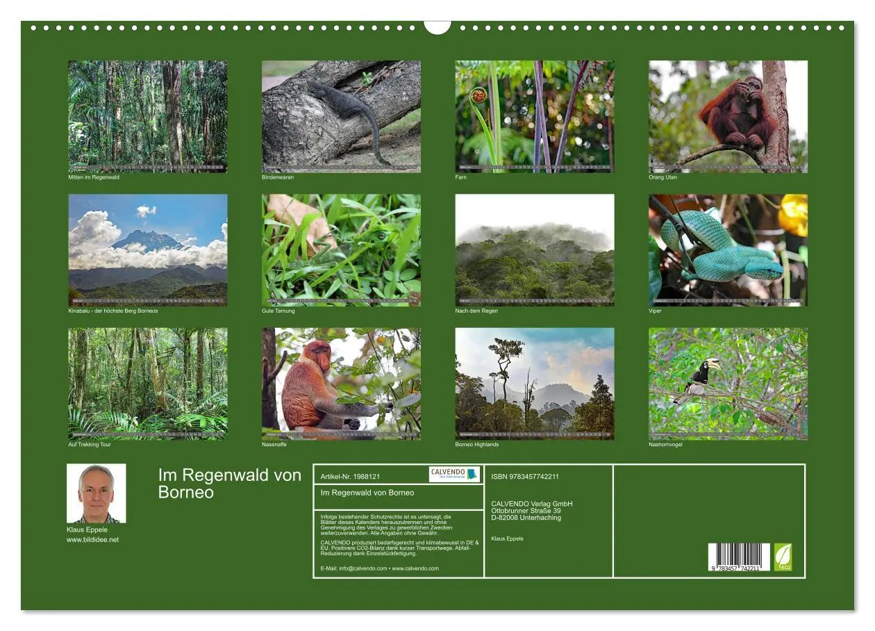 Bild: 9783457742211 | Im Regenwald von Borneo (Wandkalender 2026 DIN A2 quer), CALVENDO...