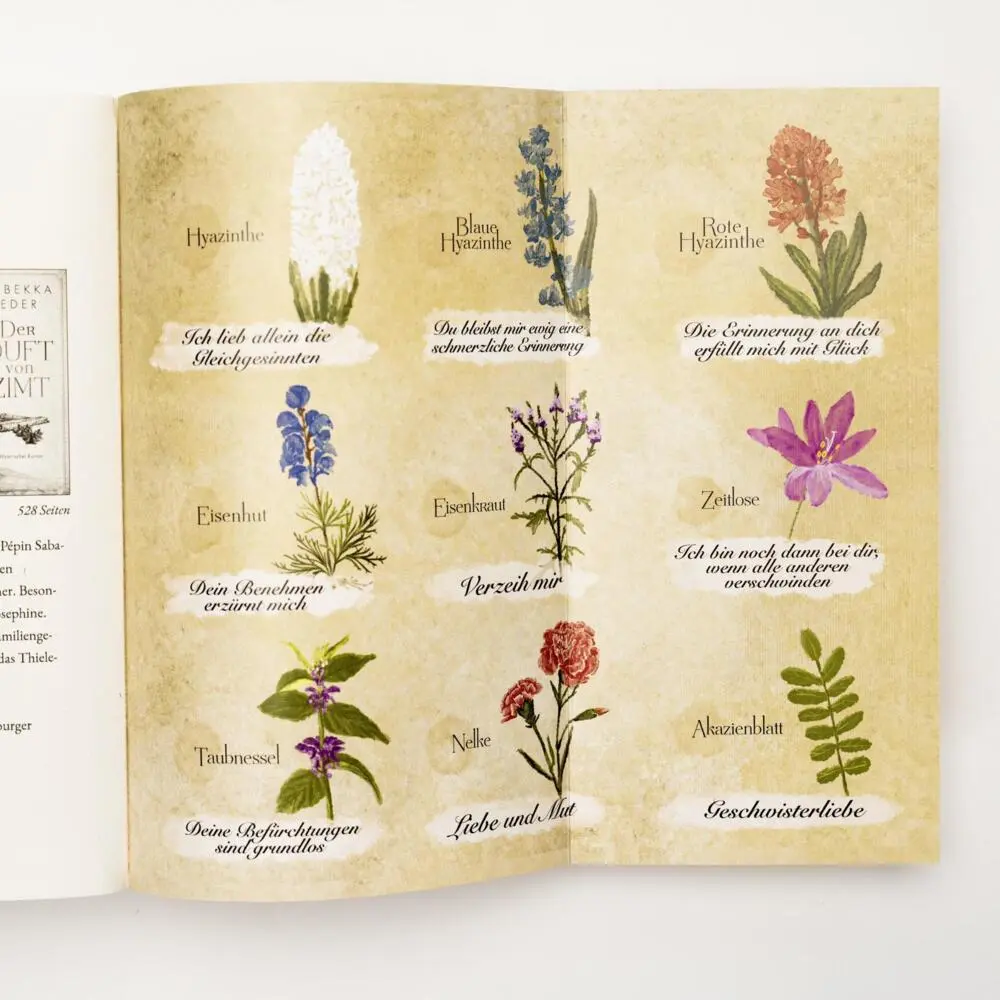 Bild: 9783499012211 | Hyazinthenschwestern | Historischer Roman | Rebekka Eder | Taschenbuch