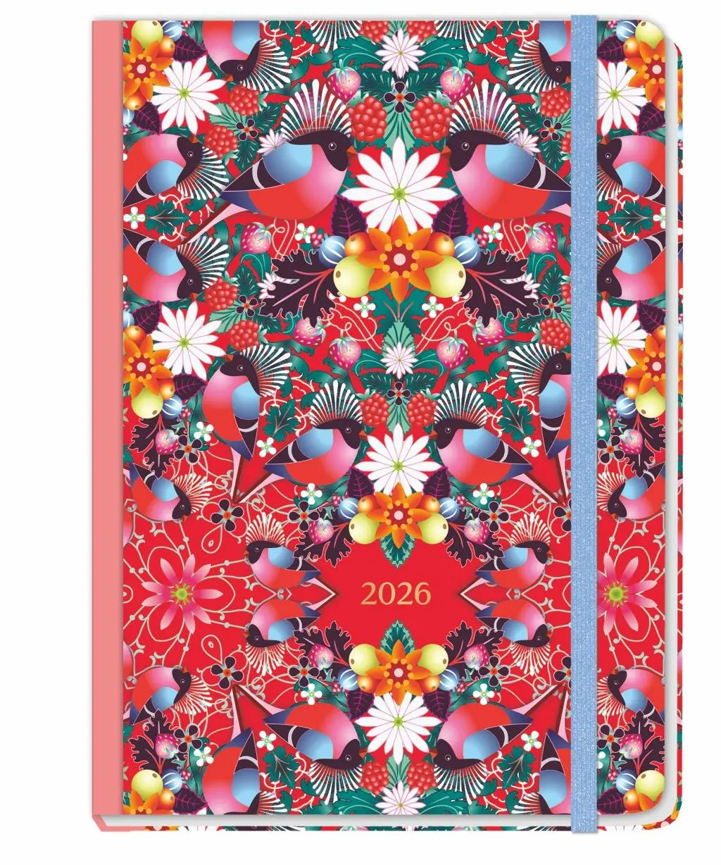 Cover: 9783756412211 | Design Diary Catalina Estrada 2026 | Catalina Estrada | Buch | 152 S.