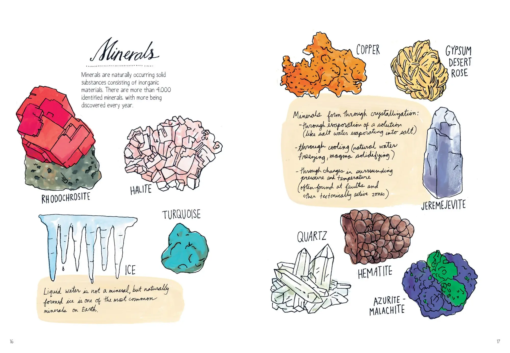 Bild: 9781612122311 | Nature Anatomy | The Curious Parts and Pieces of the Natural World
