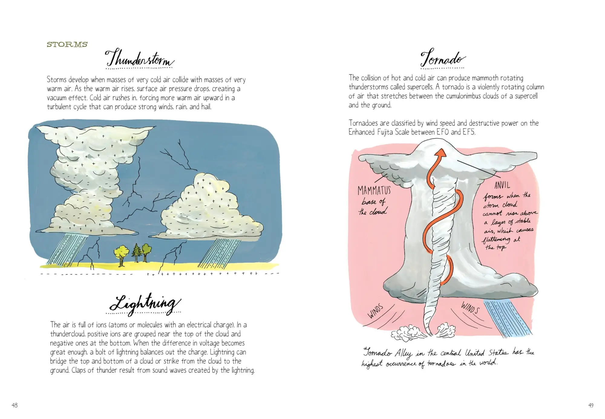 Bild: 9781612122311 | Nature Anatomy | The Curious Parts and Pieces of the Natural World