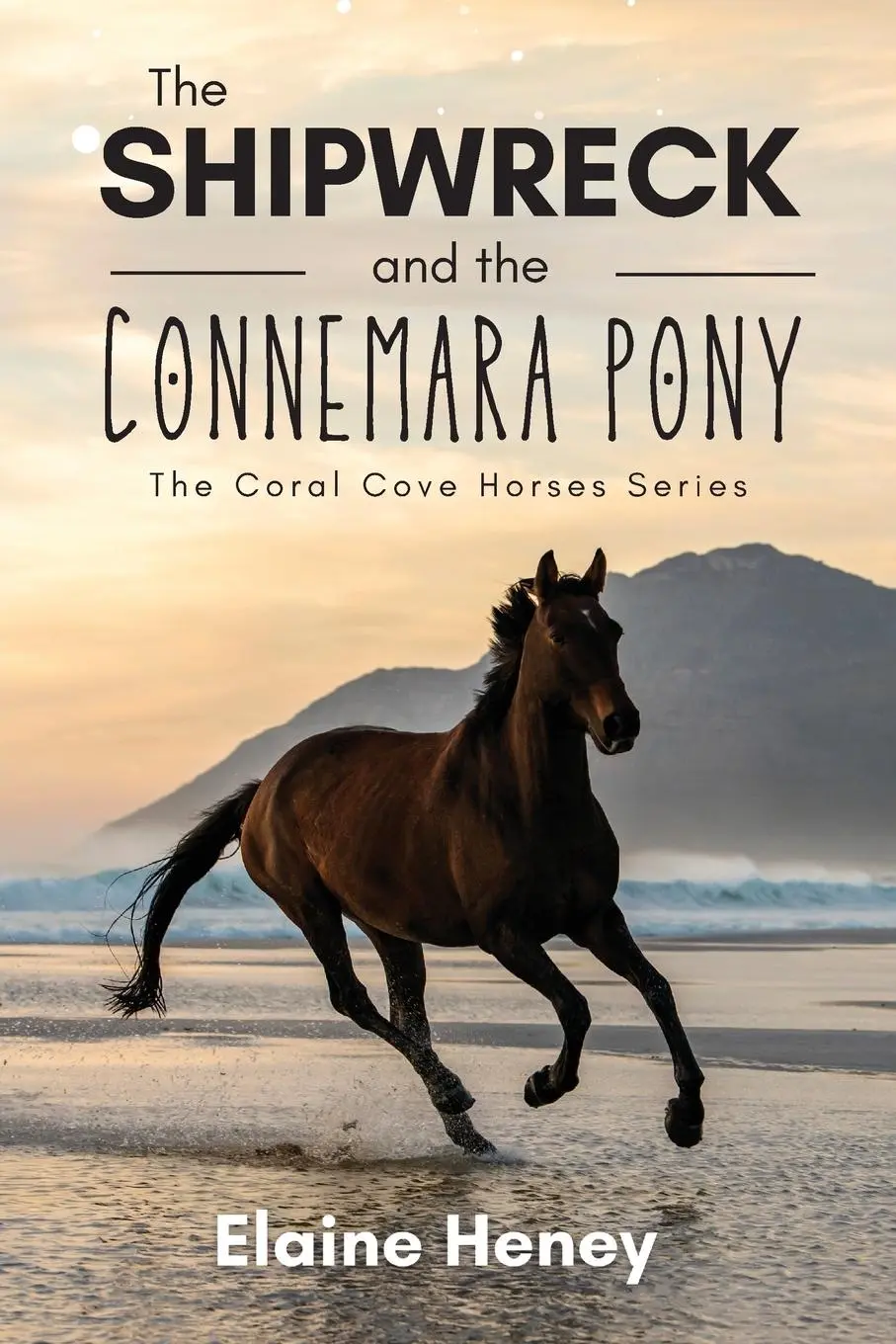 Cover: 9781915542311 | The Shipwreck and the Connemara Pony - The Coral Cove Horses Series