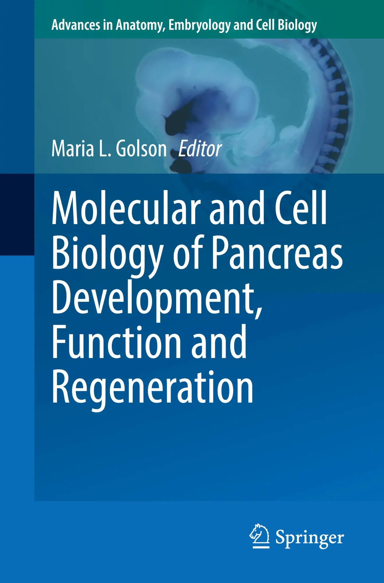 Cover: 9783031622311 | Molecular and Cell Biology of Pancreas Development, Function and...
