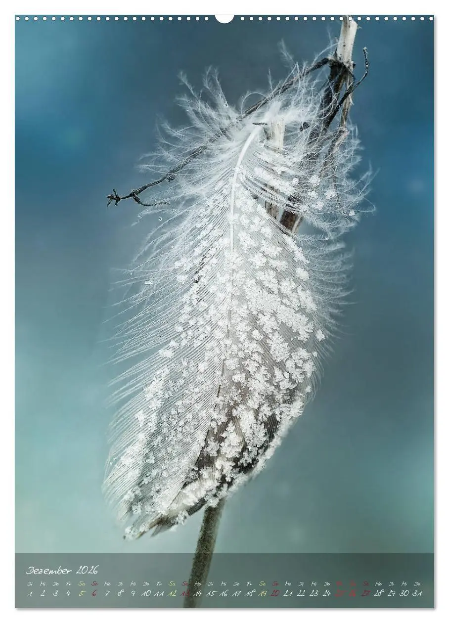 Bild: 9783516372311 | Moment Zauber (Wandkalender 2026 DIN A2 hoch), CALVENDO Monatskalender