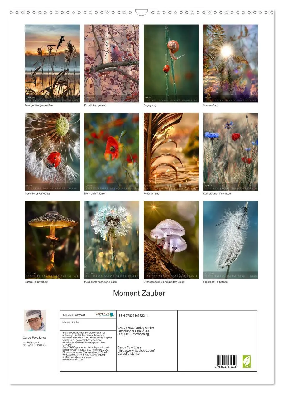 Bild: 9783516372311 | Moment Zauber (Wandkalender 2026 DIN A2 hoch), CALVENDO Monatskalender