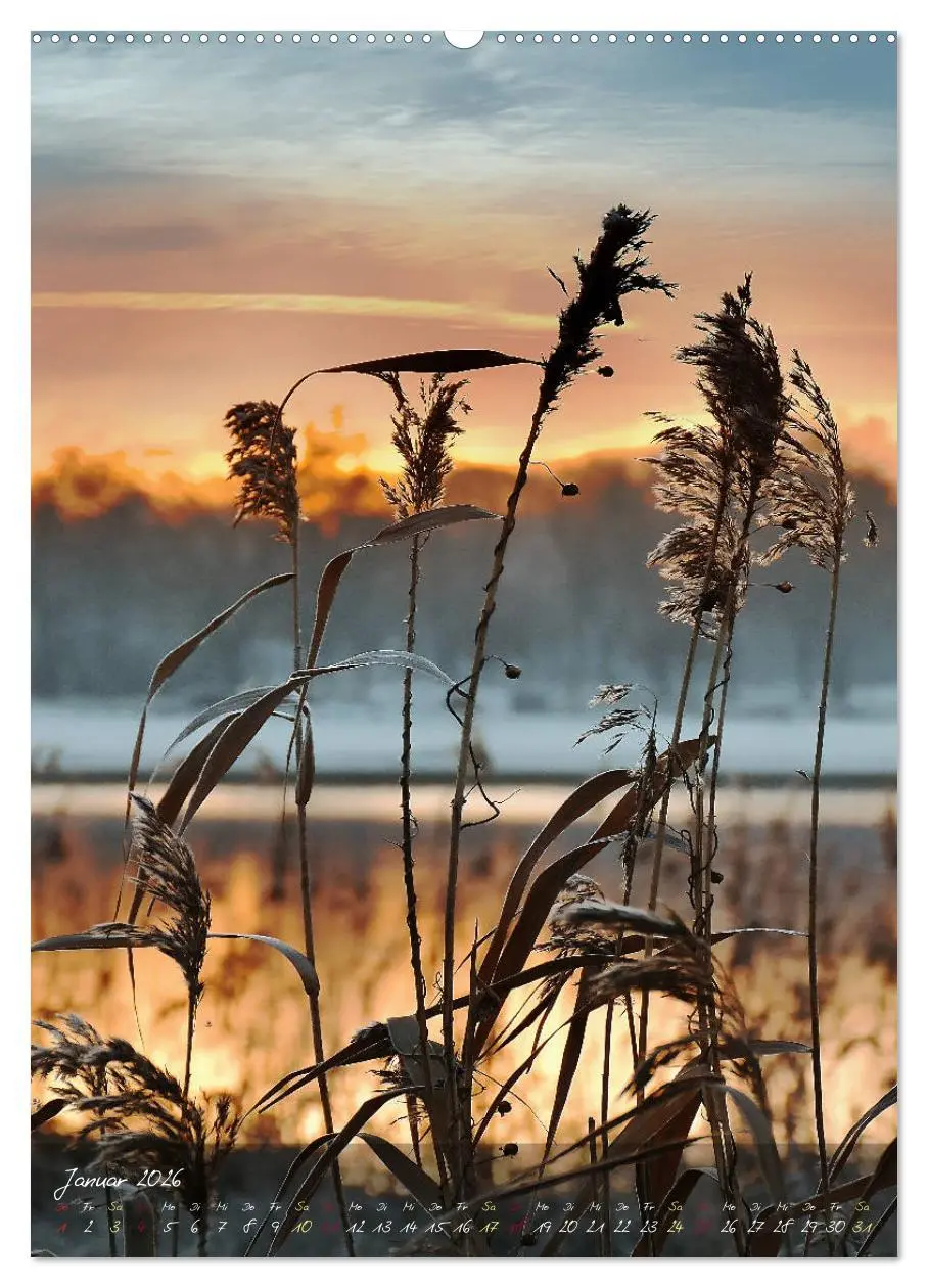 Bild: 9783516372311 | Moment Zauber (Wandkalender 2026 DIN A2 hoch), CALVENDO Monatskalender