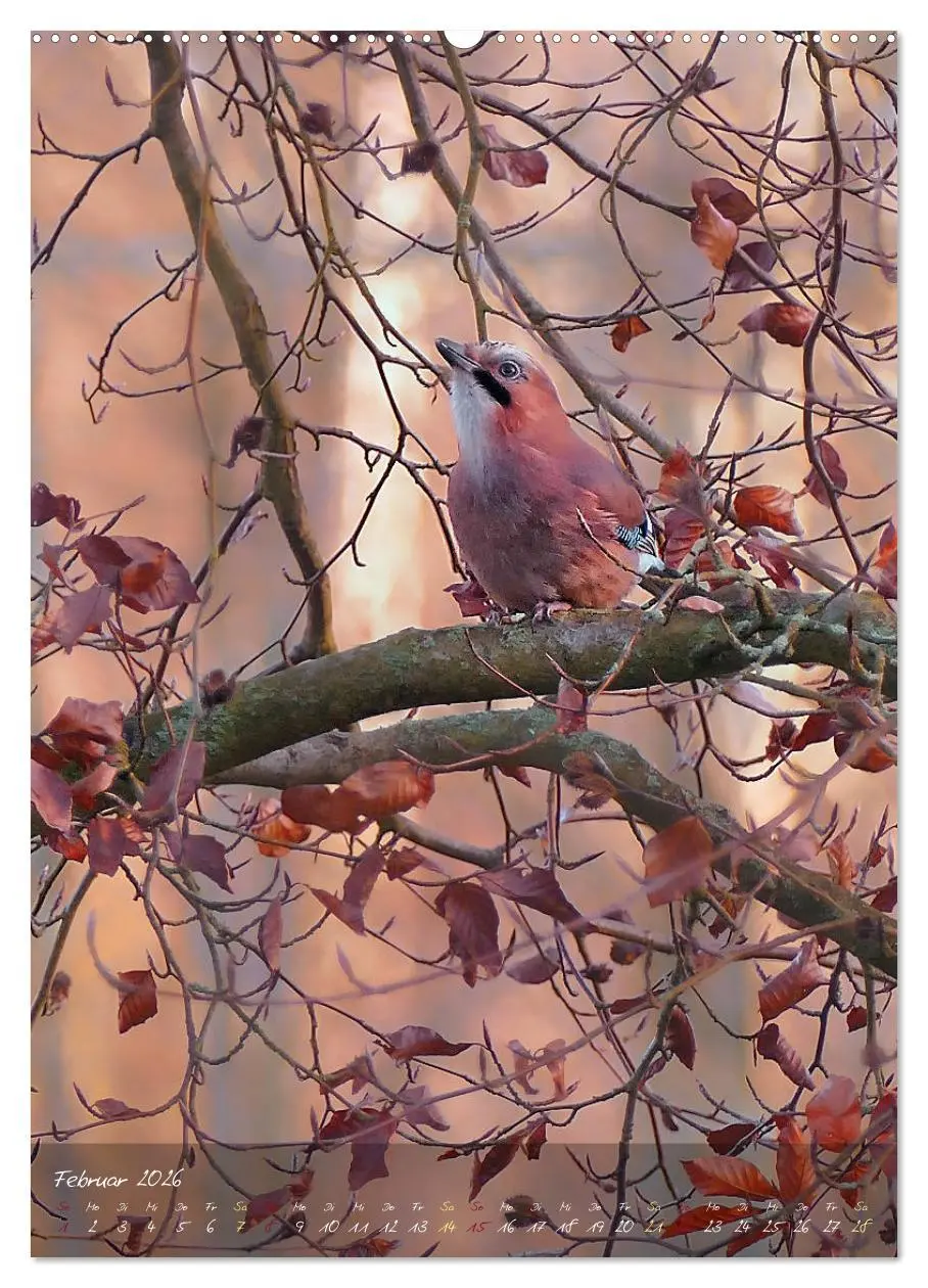 Bild: 9783516372311 | Moment Zauber (Wandkalender 2026 DIN A2 hoch), CALVENDO Monatskalender