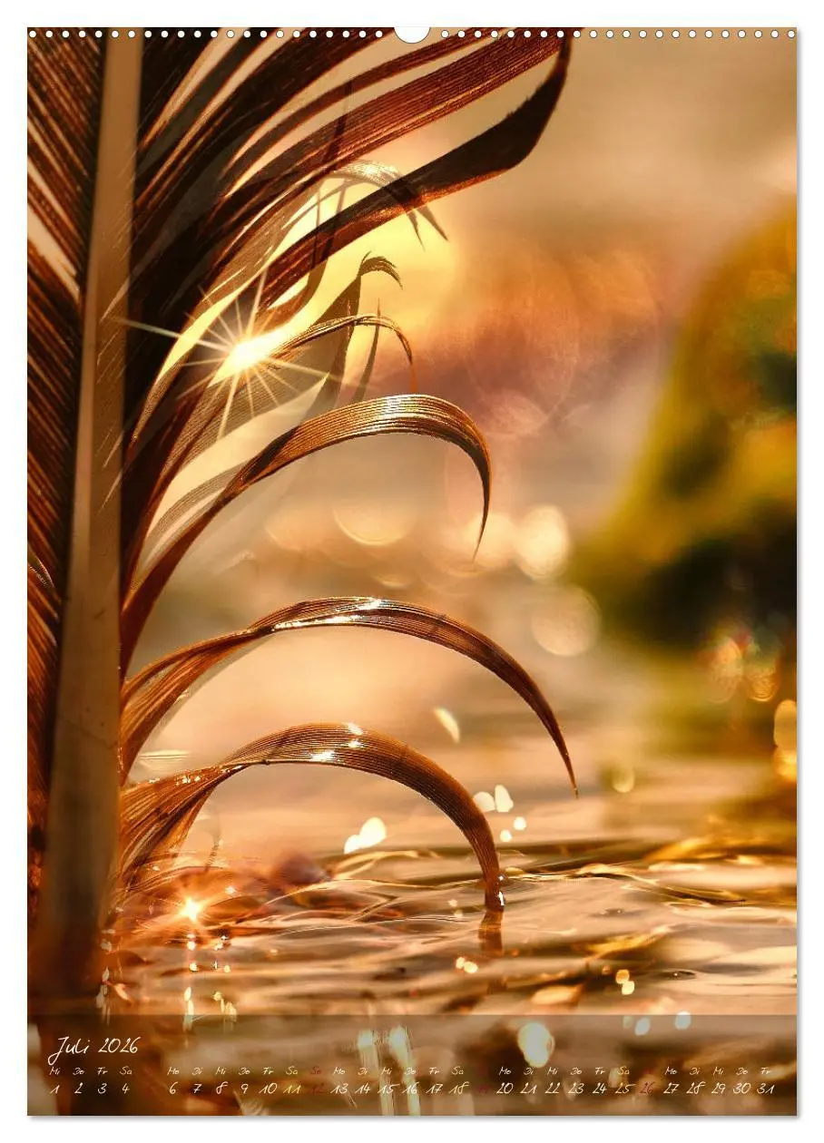 Bild: 9783516372311 | Moment Zauber (Wandkalender 2026 DIN A2 hoch), CALVENDO Monatskalender