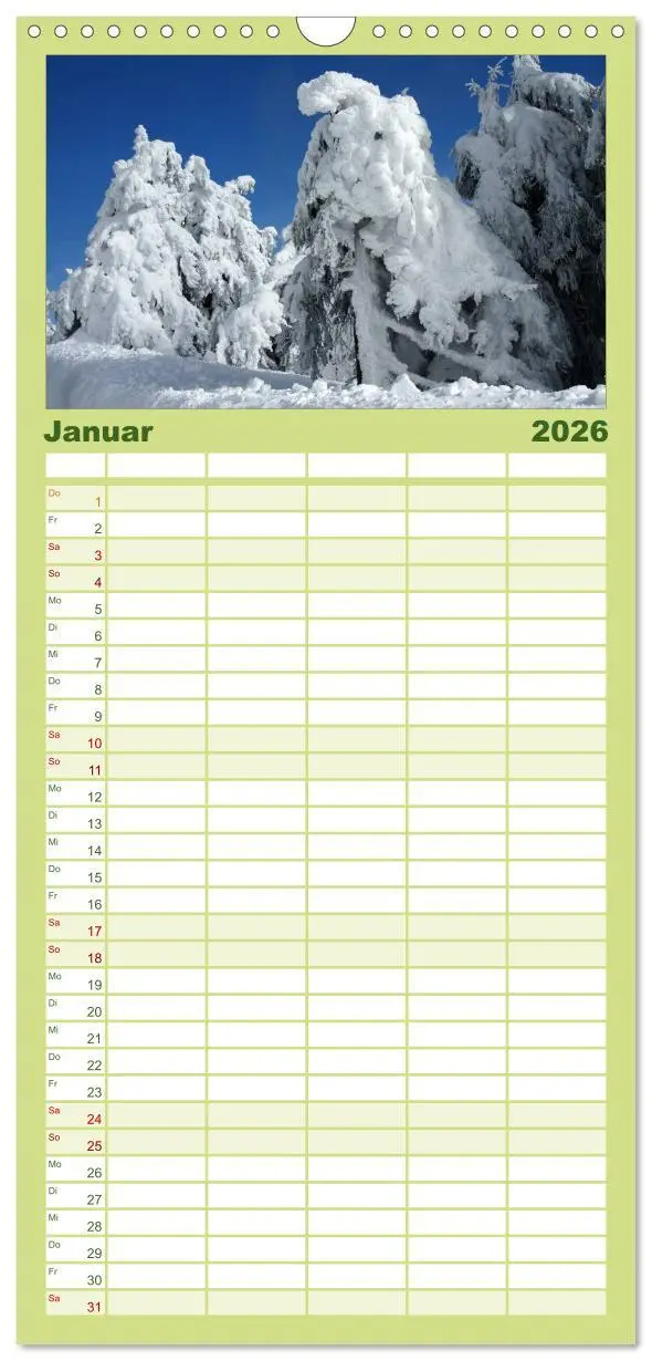 Bild: 9783516512311 | Familienplaner 2026 - Alte Bäume Alte Veteranen mit 5 Spalten...