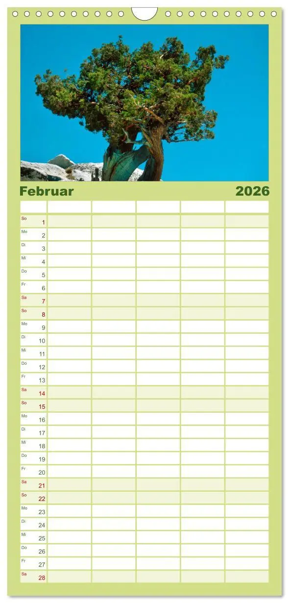 Bild: 9783516512311 | Familienplaner 2026 - Alte Bäume Alte Veteranen mit 5 Spalten...