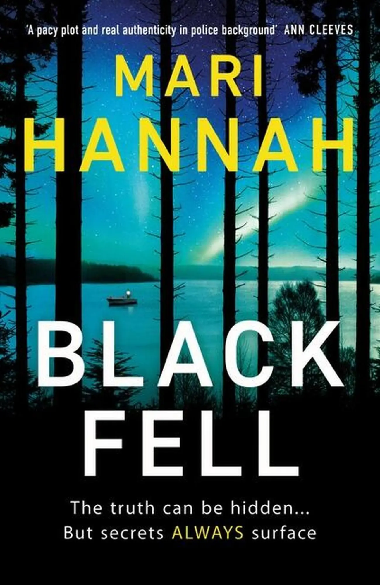 Cover: 9781409192411 | Black Fell | Mari Hannah | Taschenbuch | Kartoniert / Broschiert