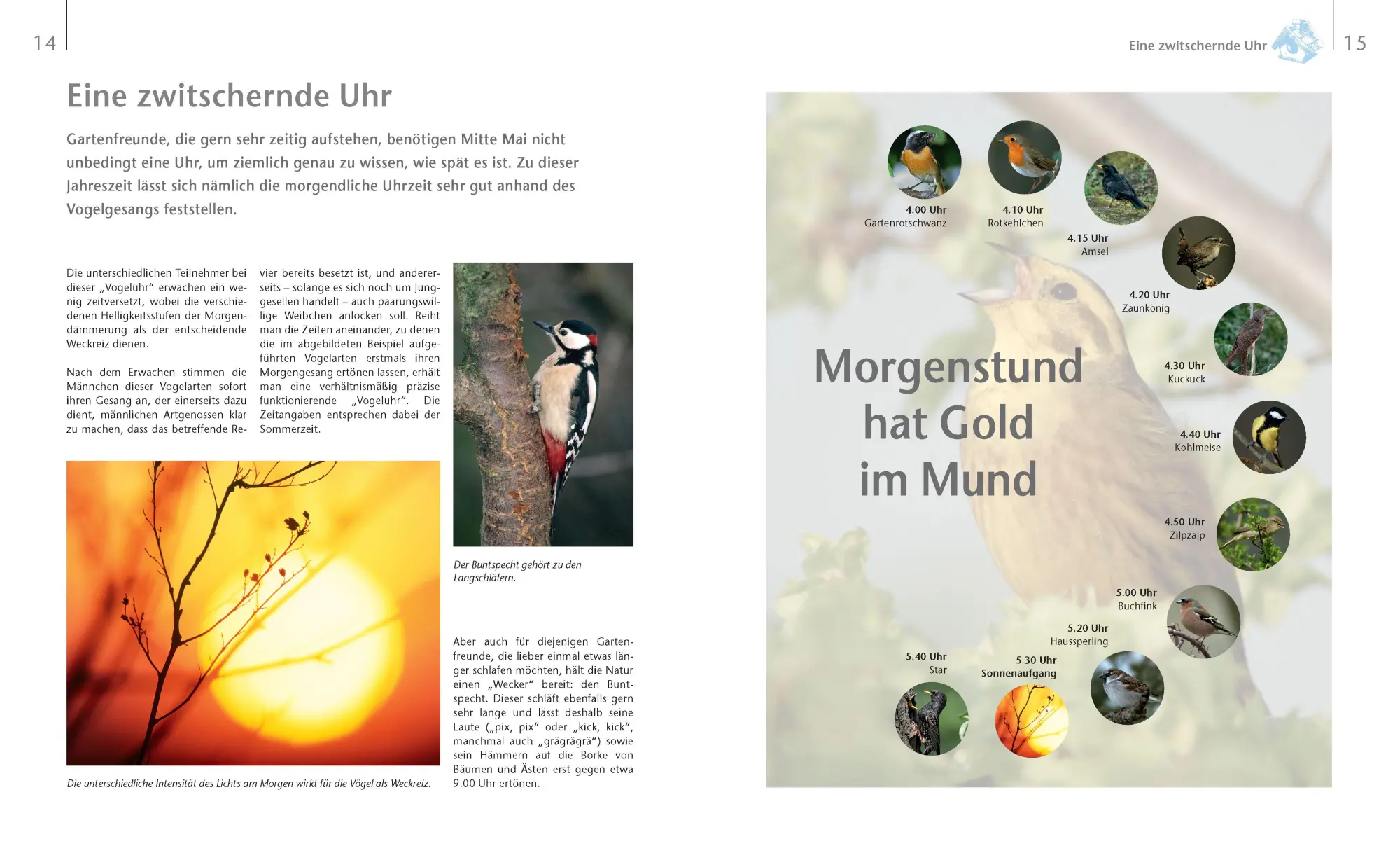 Bild: 9783625192411 | Vögel zu Gast im Garten - Beobachten, bestimmen, schützen. | Gutjahr