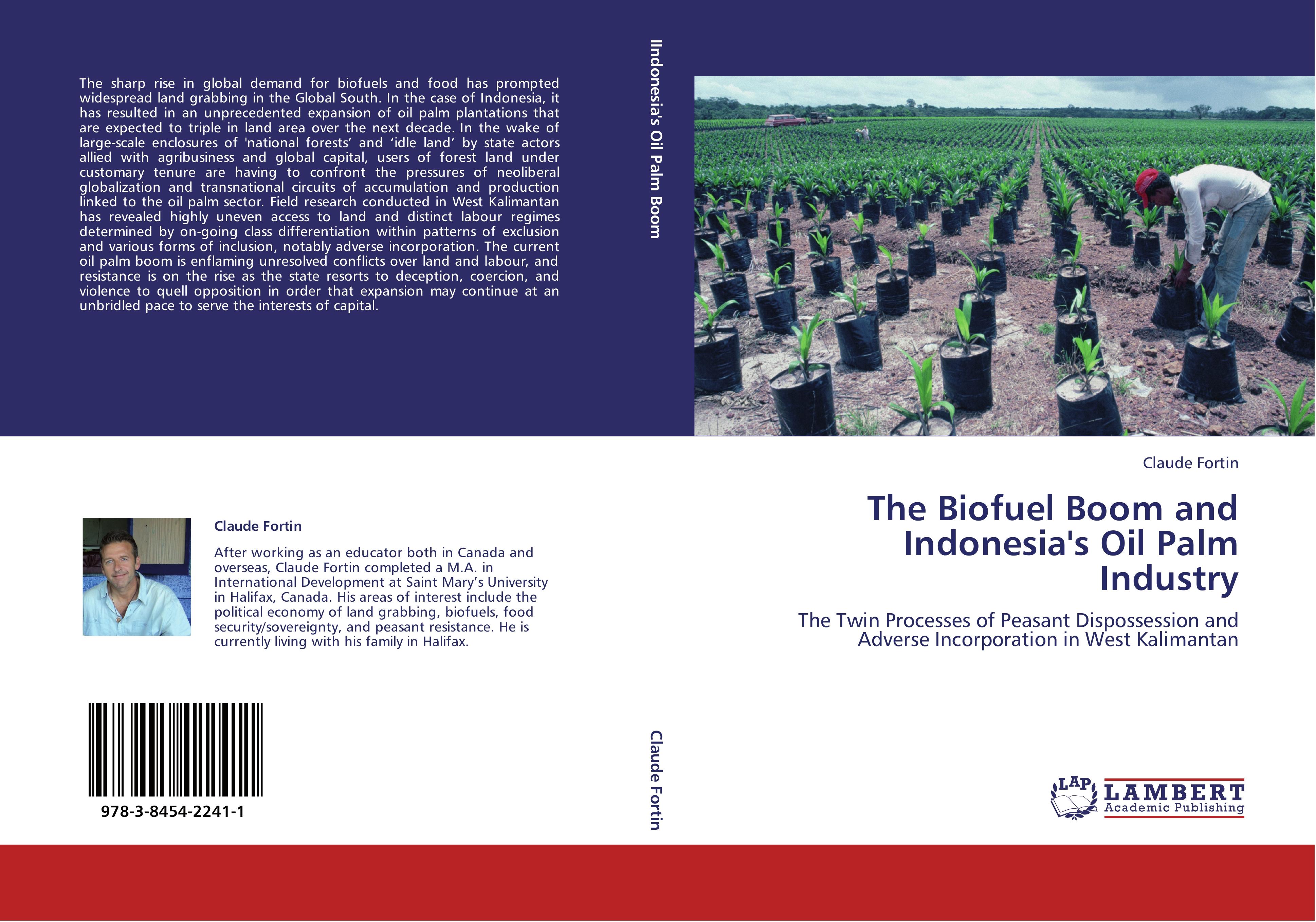 The Biofuel Boom and Indonesia's Oil Palm Industry | The Twin Processes of Peasant Dispossession and Adverse Incorporation in West Kalimantan | Claude Fortin | Taschenbuch | Paperback | 304 S. | 2011 - Fortin, Claude