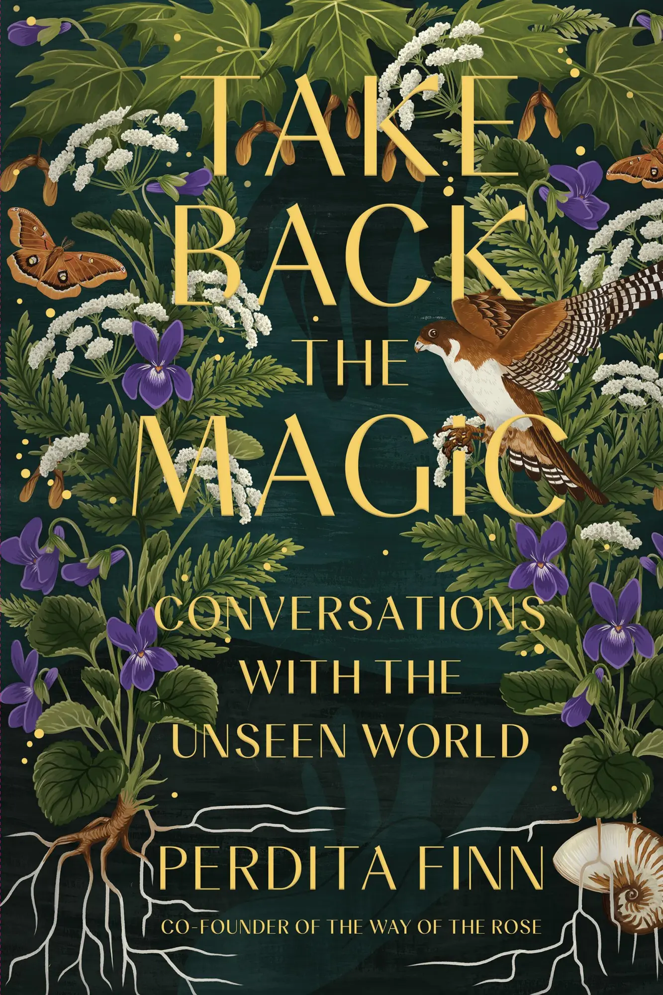 Cover: 9780762482511 | Take Back the Magic | Conversations with the Unseen World | Finn