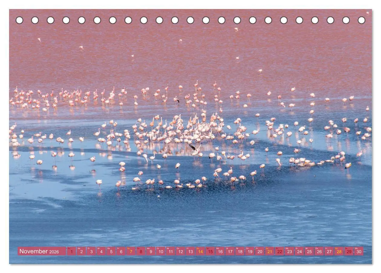 Bild: 9783457882511 | Farbenfrohes Bolivien (Tischkalender 2026 DIN A5 quer), CALVENDO...