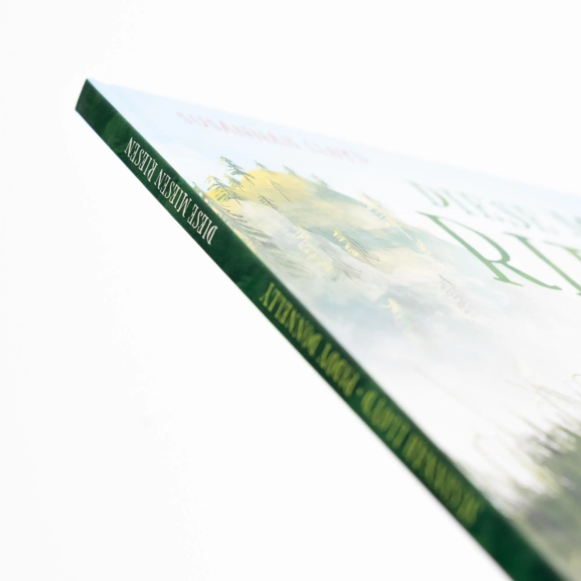 Bild: 9783505152511 | Diese miesen Riesen | Susannah Lloyd | Buch | 40 S. | Deutsch | 2025