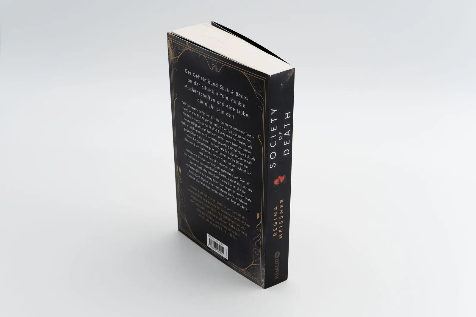 Bild: 9783426562611 | Society of Death. Von Rache verführt | Regina Meissner | Taschenbuch