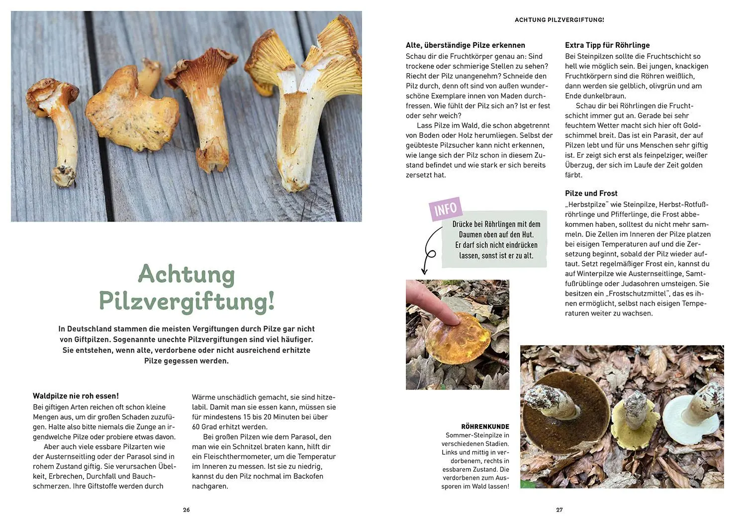 Bild: 9783440182611 | Das Pilzbuch für Kids | Nadja Frotscher-Kanka | Taschenbuch | 96 S.