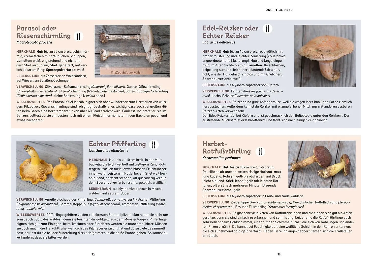 Bild: 9783440182611 | Das Pilzbuch für Kids | Nadja Frotscher-Kanka | Taschenbuch | 96 S.