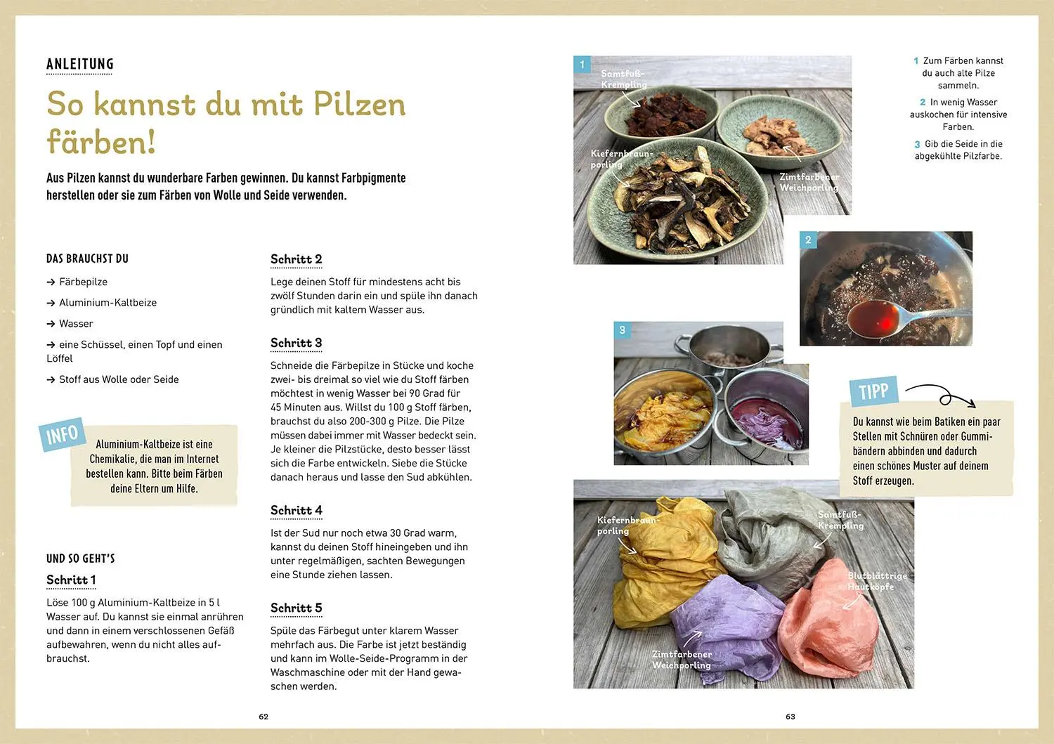 Bild: 9783440182611 | Das Pilzbuch für Kids | Nadja Frotscher-Kanka | Taschenbuch | 96 S.