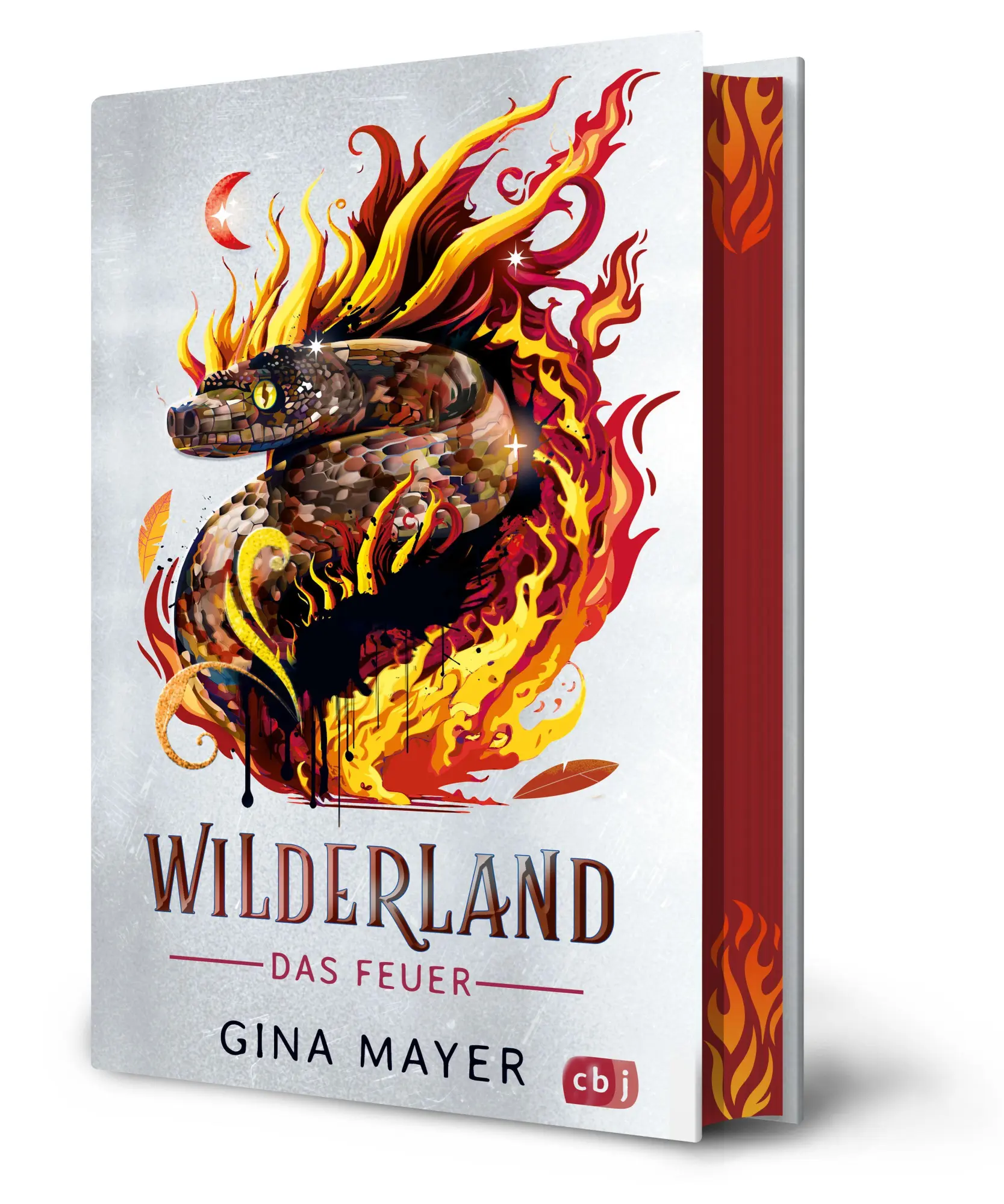 Cover: 9783570182611 | Wilderland - Das Feuer (Bd. 2) | Gina Mayer | Buch | 256 S. | Deutsch