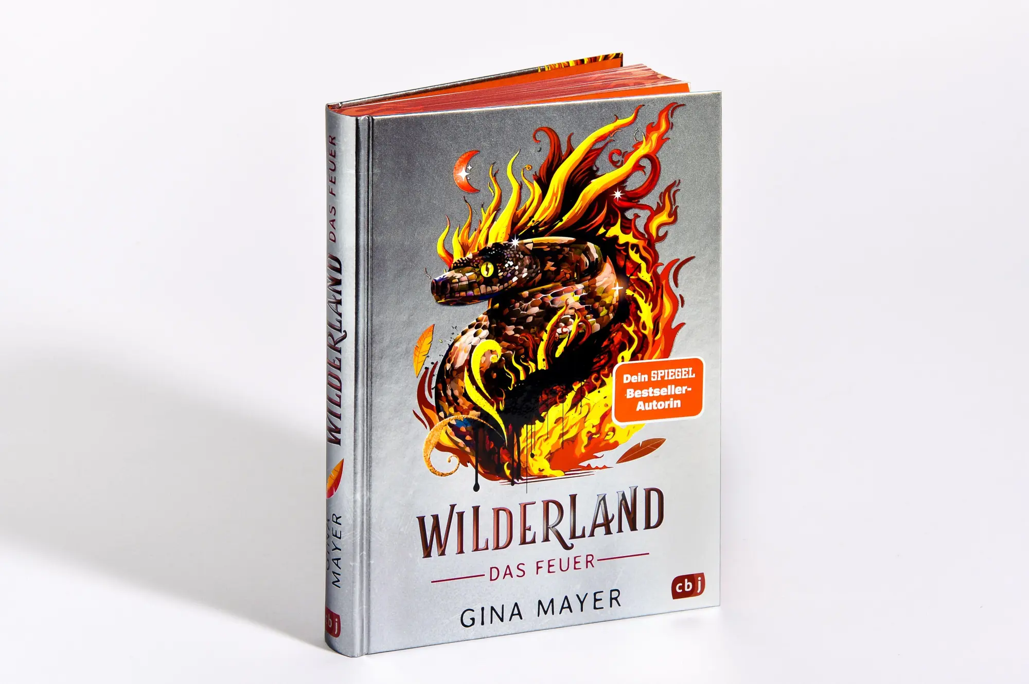 Bild: 9783570182611 | Wilderland - Das Feuer (Bd. 2) | Gina Mayer | Buch | 256 S. | Deutsch