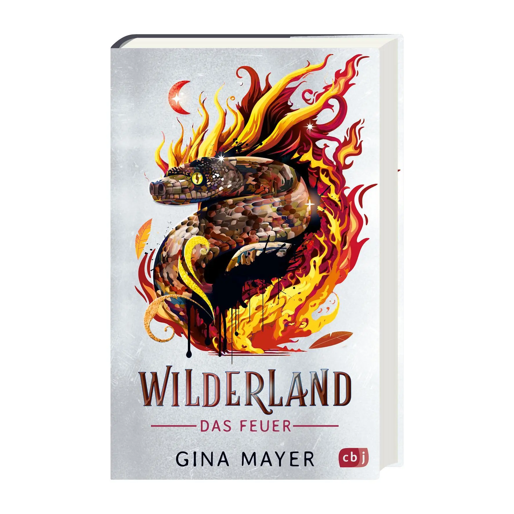 Bild: 9783570182611 | Wilderland - Das Feuer (Bd. 2) | Gina Mayer | Buch | 256 S. | Deutsch