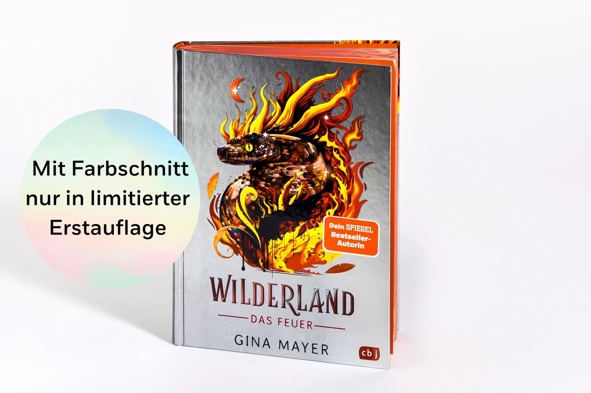 Bild: 9783570182611 | Wilderland - Das Feuer (Bd. 2) | Gina Mayer | Buch | 256 S. | Deutsch