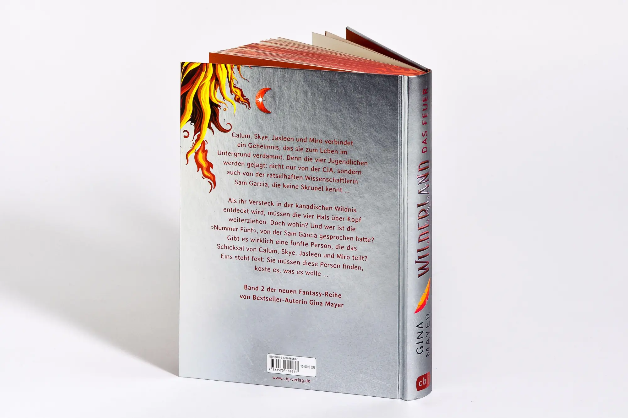 Bild: 9783570182611 | Wilderland - Das Feuer (Bd. 2) | Gina Mayer | Buch | 256 S. | Deutsch