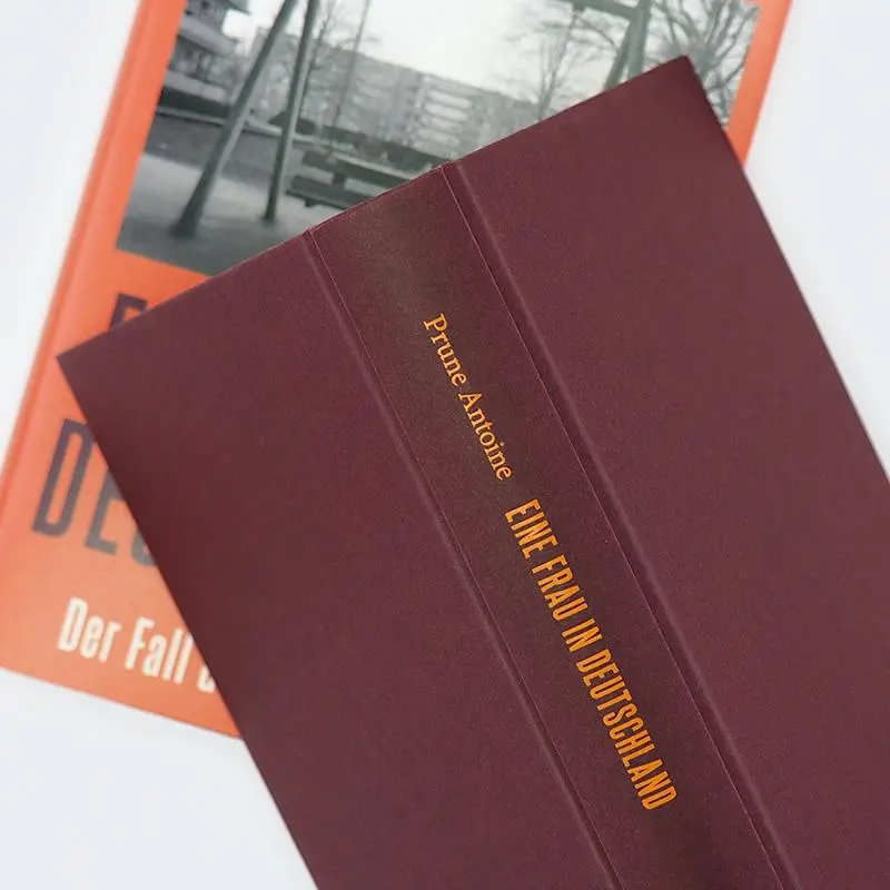 Bild: 9783446282711 | Eine Frau in Deutschland | Der Fall der Christiane K. | Prune Antoine