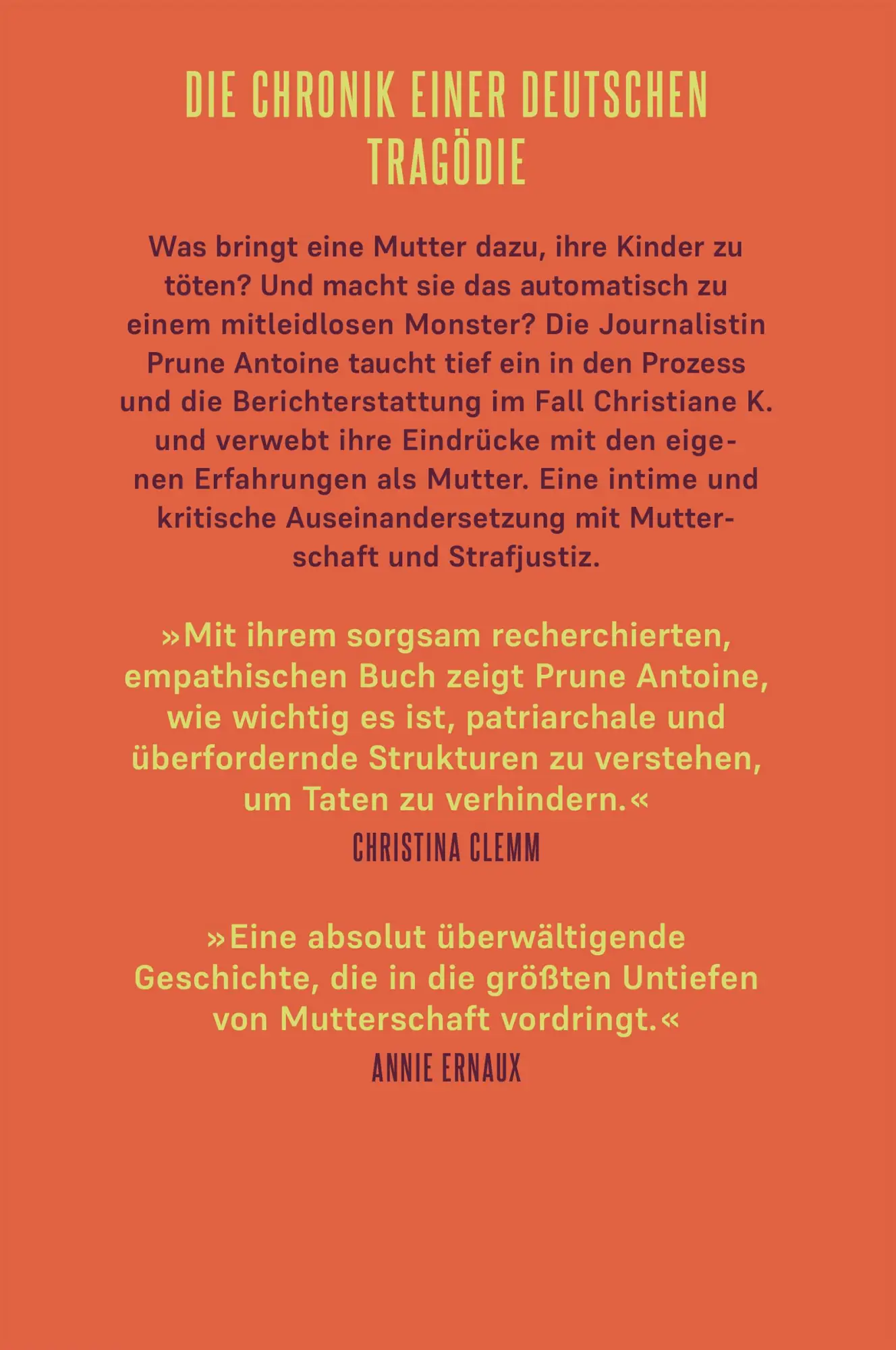Bild: 9783446282711 | Eine Frau in Deutschland | Der Fall der Christiane K. | Prune Antoine