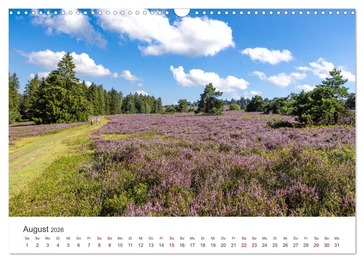 Bild: 9783457312711 | Sauerland - hier muss man mal gewesen sein (Wandkalender 2026 DIN...