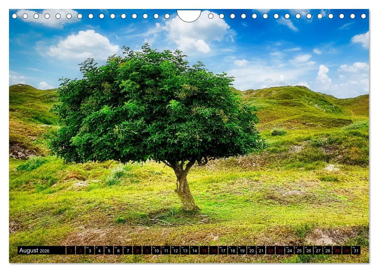 Bild: 9783457622711 | Norderneyer Ansichten (Wandkalender 2026 DIN A4 quer), CALVENDO...