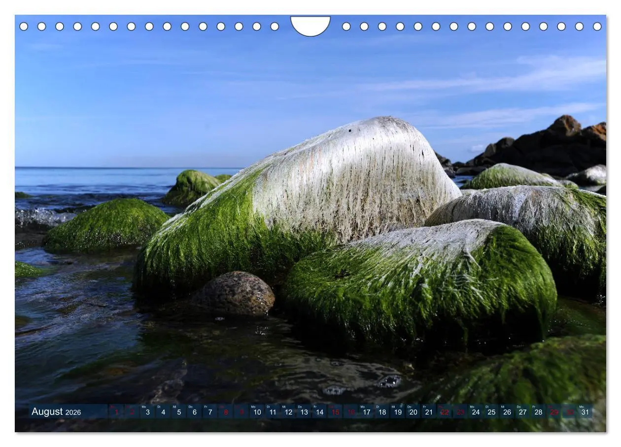 Bild: 9783457862711 | Bornholm - Sonneninsel der Ostsee (Wandkalender 2026 DIN A4 quer),...