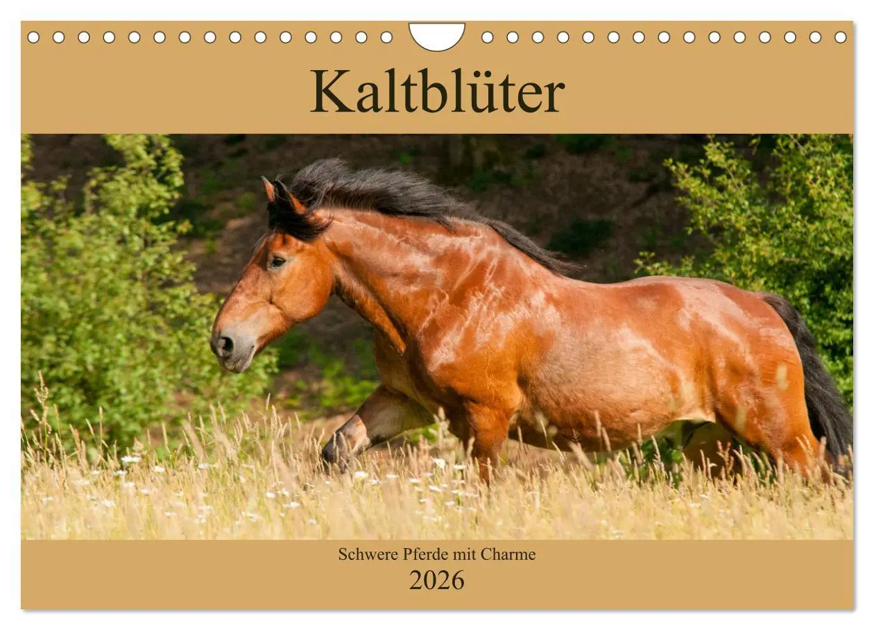 Cover: 9783457922811 | Kaltblüter - Schwere Pferde mit Charme (Wandkalender 2026 DIN A4...