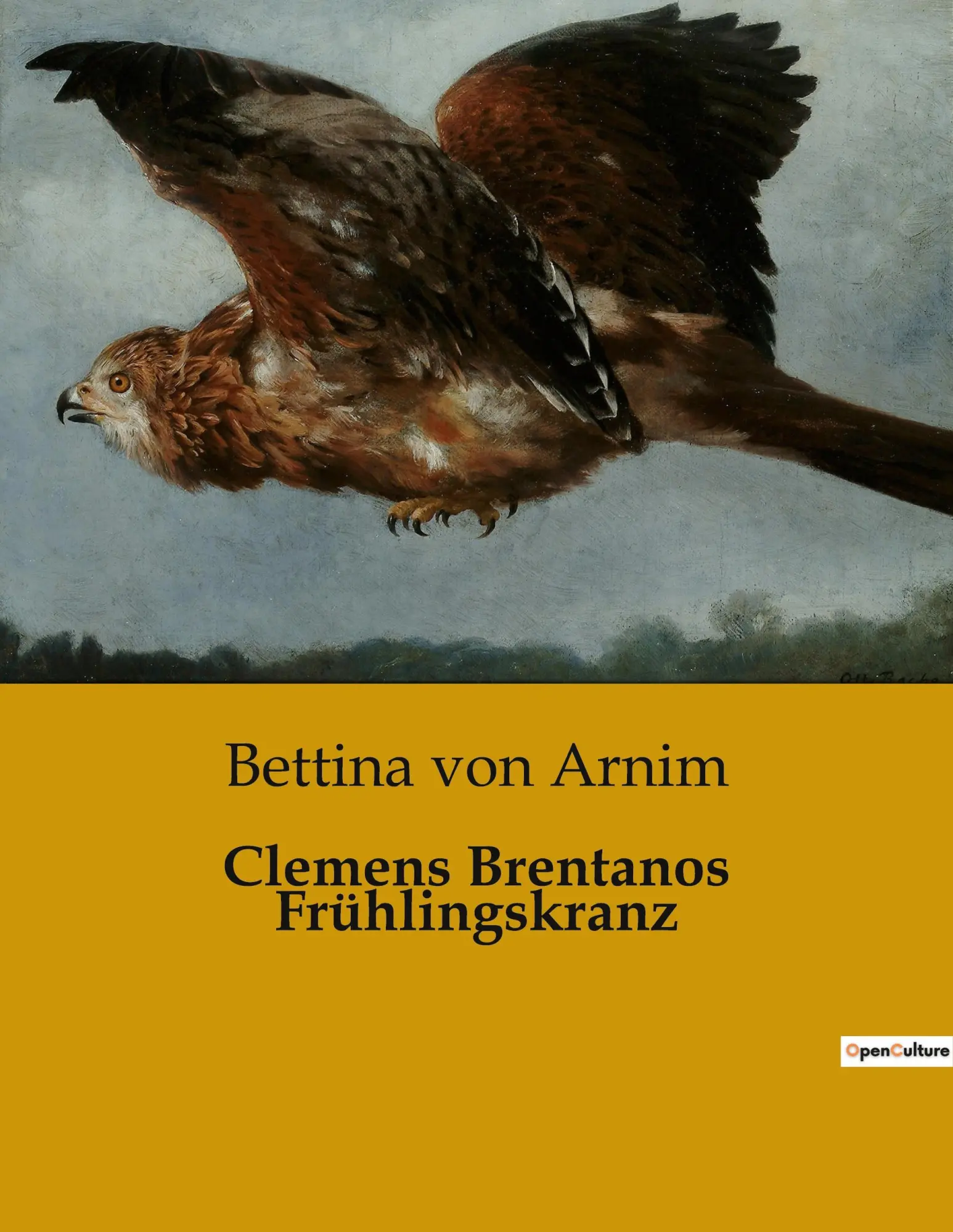 Cover: 9791041902811 | Clemens Brentanos Frühlingskranz | Bettina Von Arnim | Taschenbuch