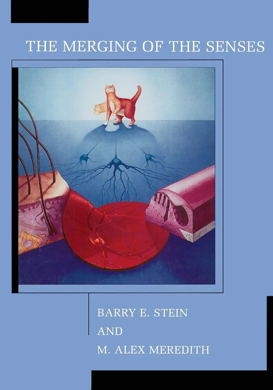 Cover: 9780262693011 | The Merging of the Senses | Barry E. Stein (u. a.) | Taschenbuch
