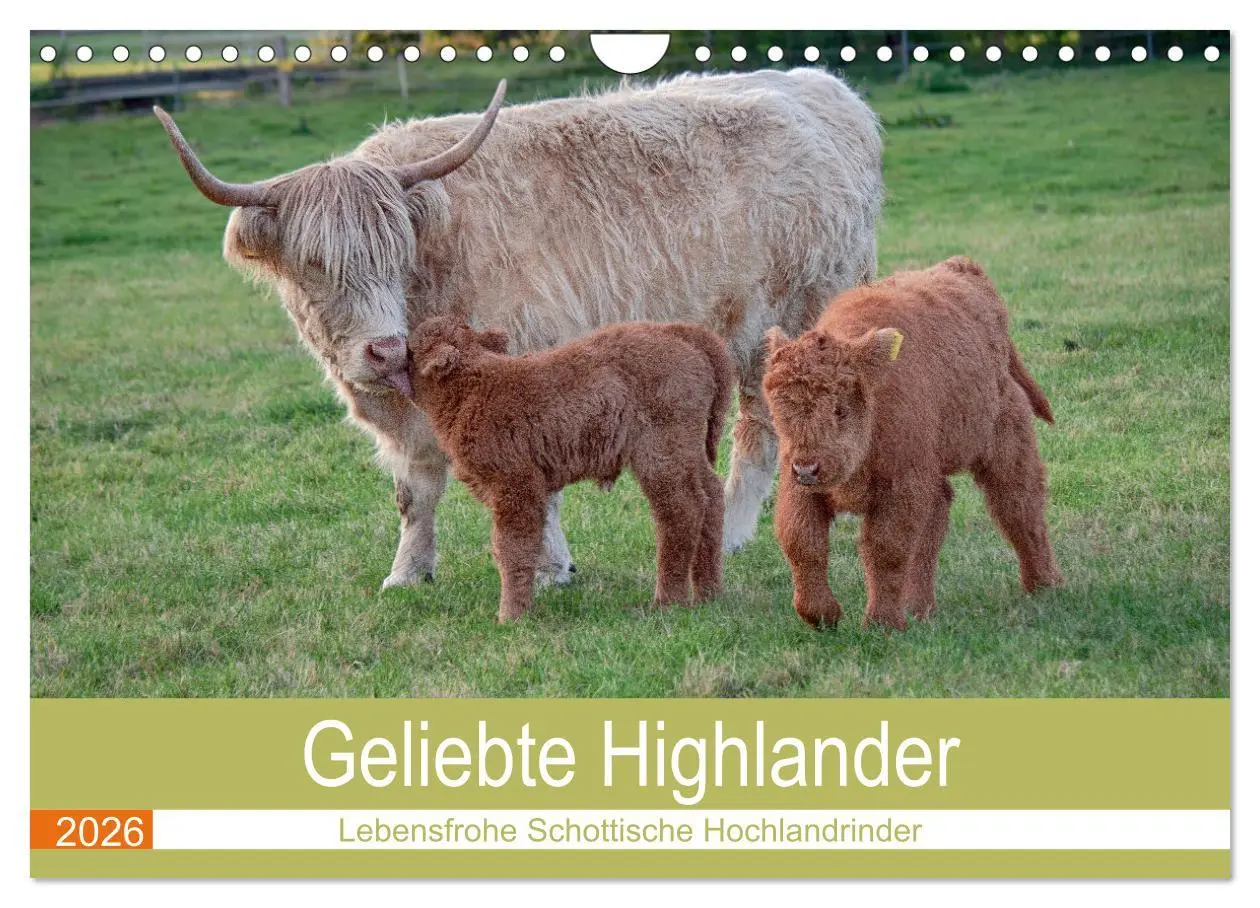 Cover: 9783457663011 | Geliebte Highlander (Wandkalender 2026 DIN A4 quer), CALVENDO...