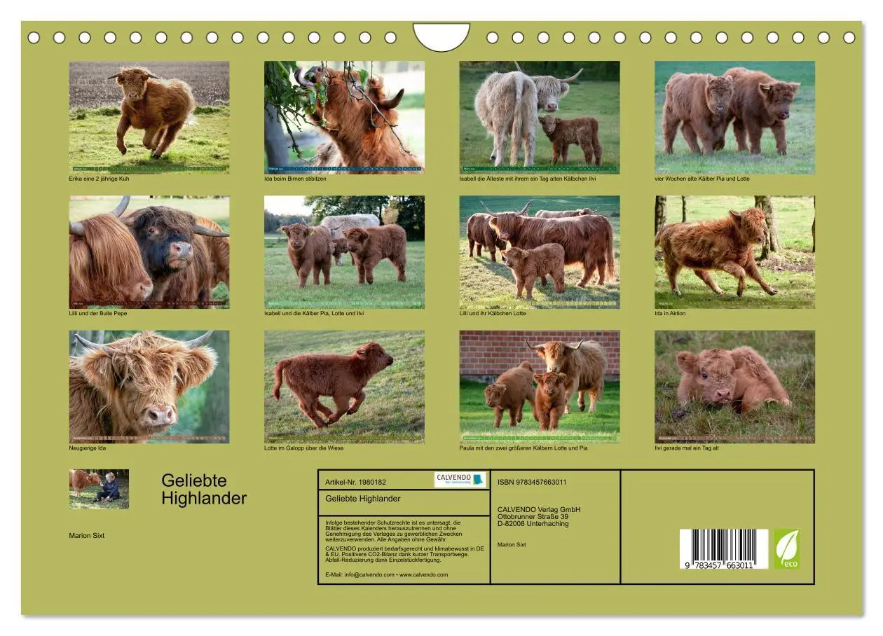 Bild: 9783457663011 | Geliebte Highlander (Wandkalender 2026 DIN A4 quer), CALVENDO...