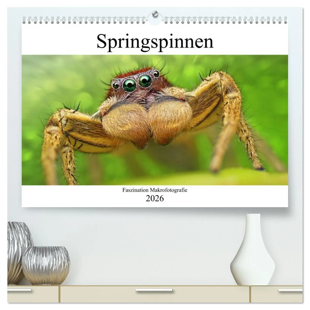 Cover: 9783457733011 | Faszination Makrofotografie: Springspinnen (hochwertiger Premium...