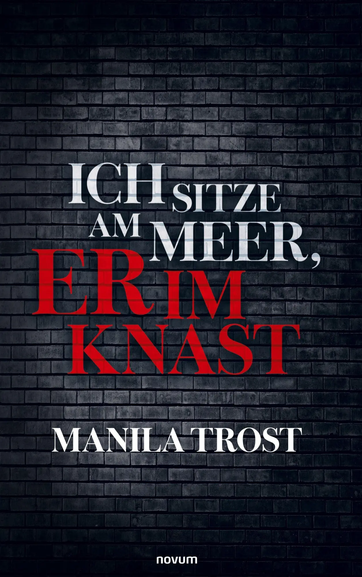 Cover: 9783711613011 | Ich sitze am Meer, er im Knast | Manila Trost | Taschenbuch | Deutsch