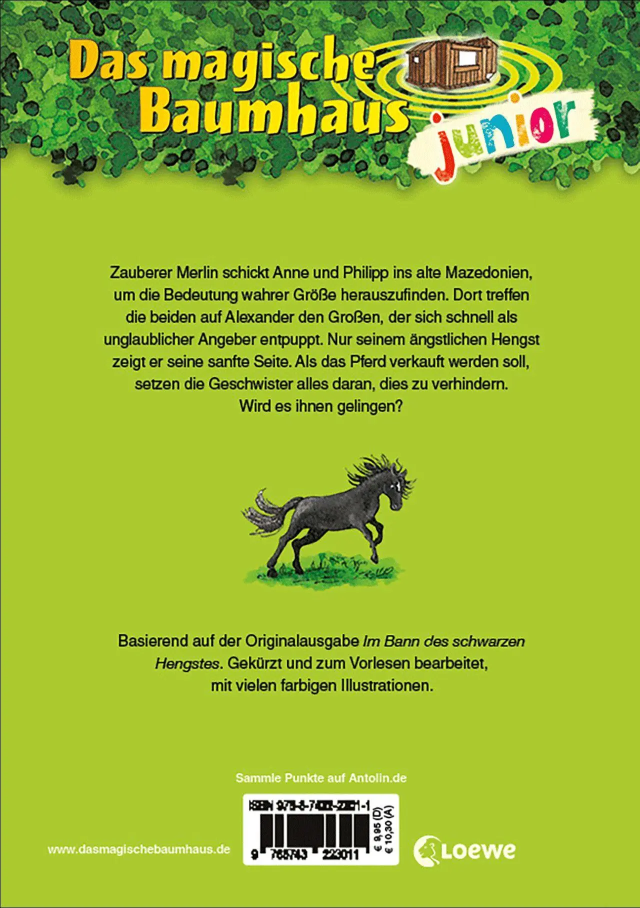 Bild: 9783743223011 | Das magische Baumhaus junior (Band 42) - Das rätselhafte schwarze...
