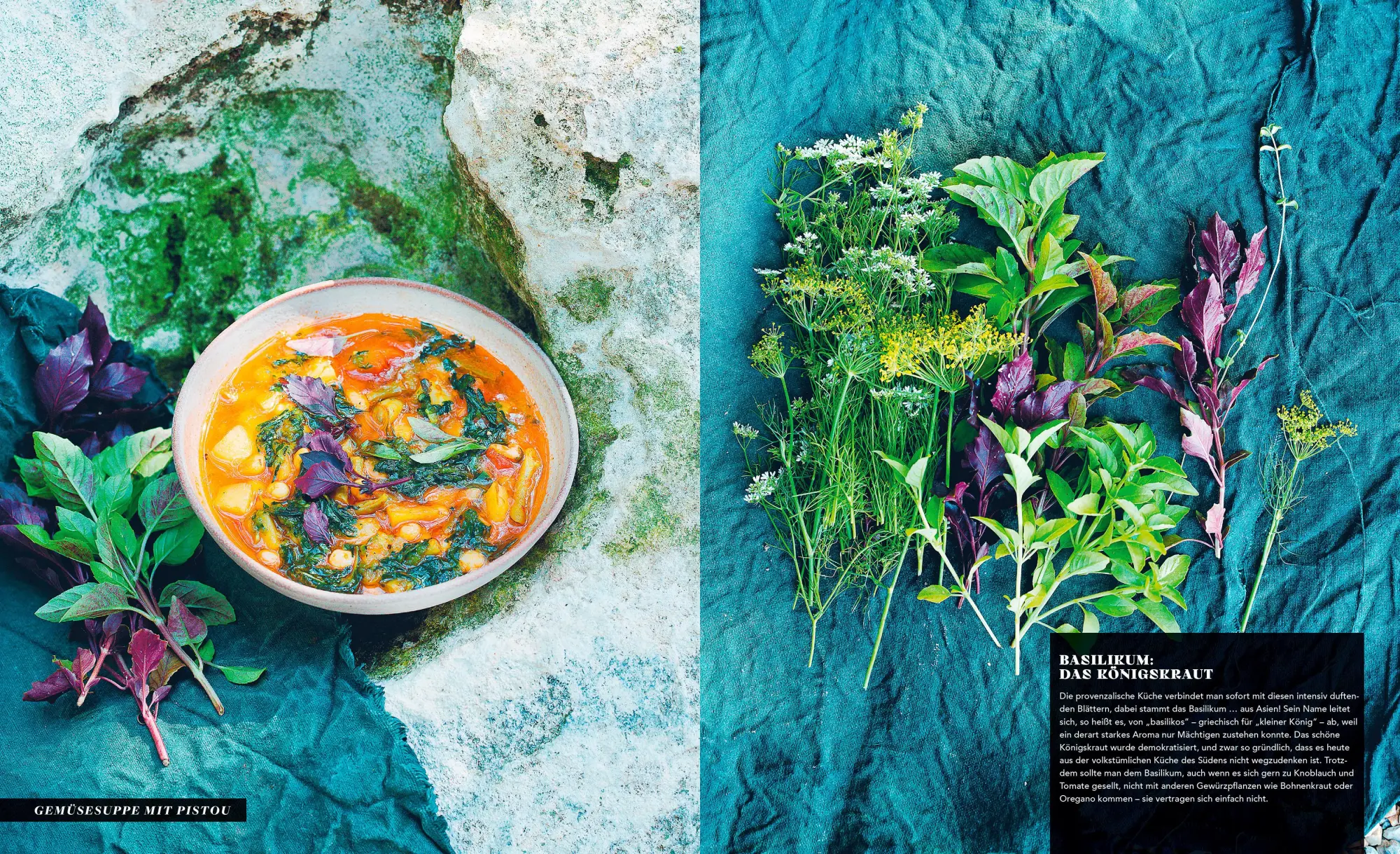 Bild: 9783965843011 | Provence | Reise durch die Sonne in 100 Rezepten | Catherine Roig | ZS
