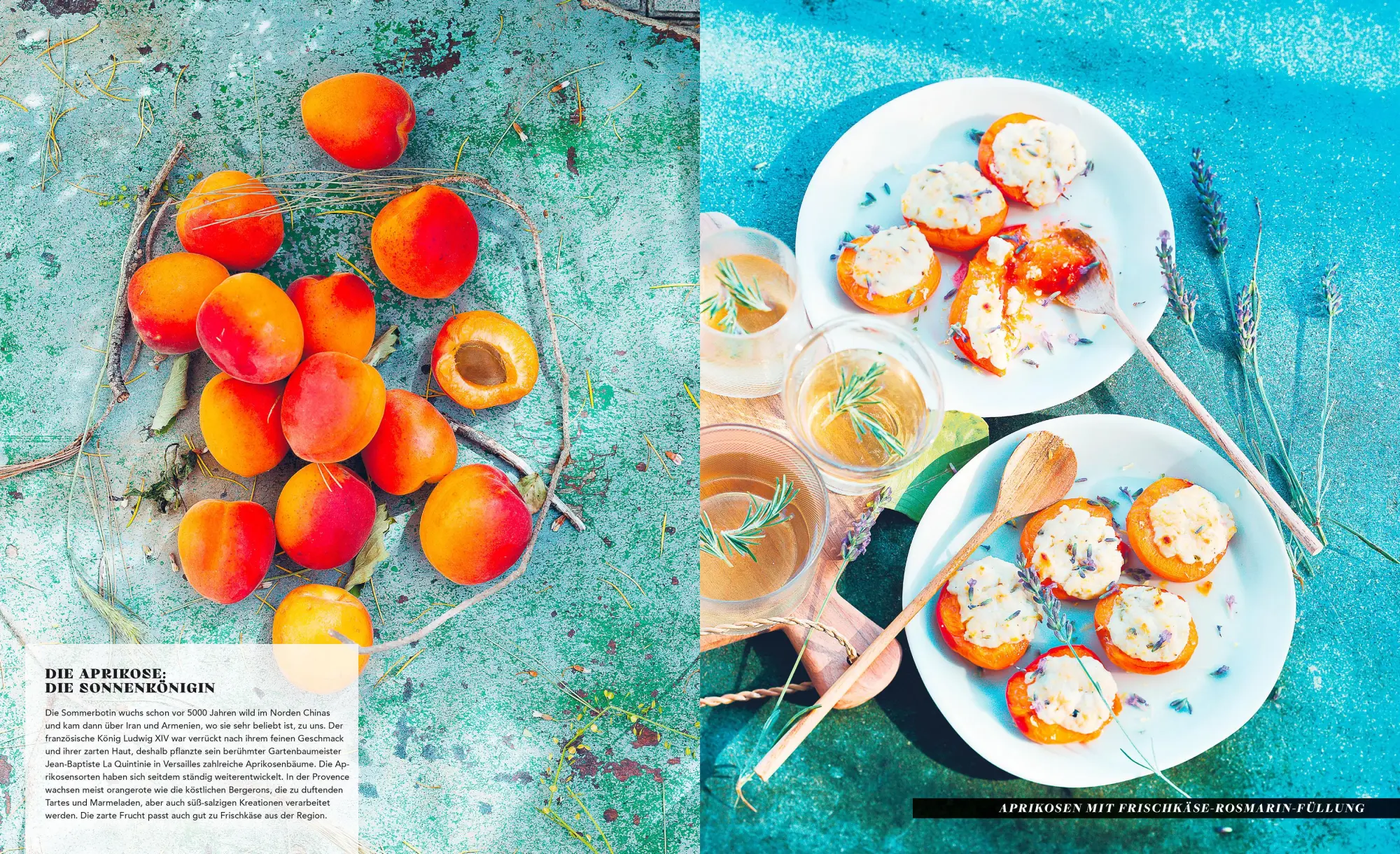 Bild: 9783965843011 | Provence | Reise durch die Sonne in 100 Rezepten | Catherine Roig | ZS