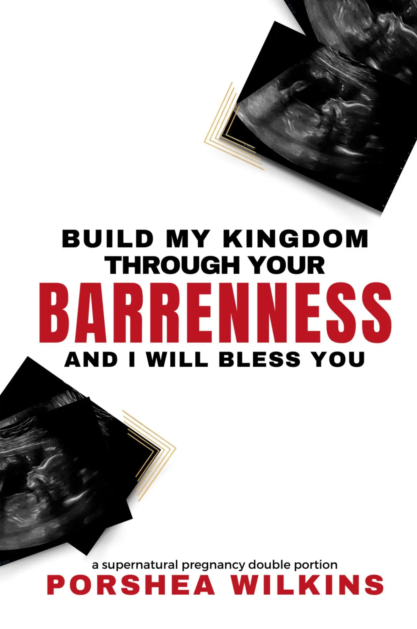 Cover: 9798218563011 | Build My Kingdom Through Your Barrenness and I Will Bless You | Buch