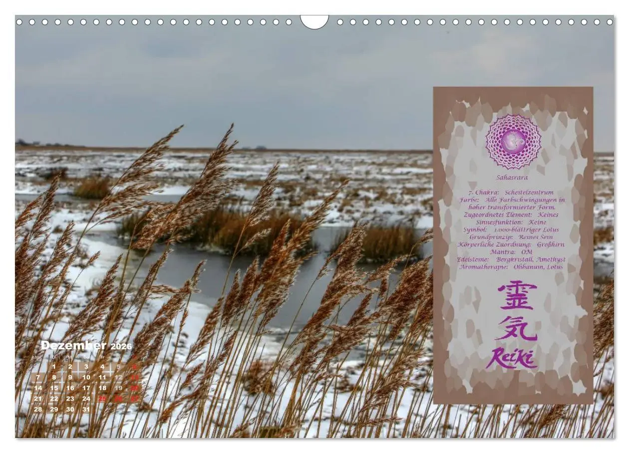 Bild: 9783516053111 | REIKI - Chakrameditation (Wandkalender 2026 DIN A3 quer), CALVENDO...