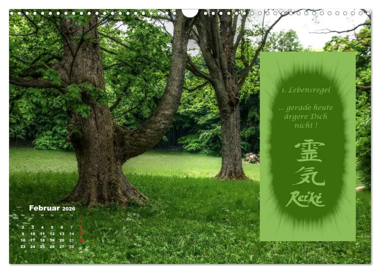 Bild: 9783516053111 | REIKI - Chakrameditation (Wandkalender 2026 DIN A3 quer), CALVENDO...