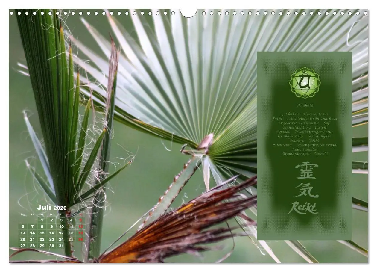 Bild: 9783516053111 | REIKI - Chakrameditation (Wandkalender 2026 DIN A3 quer), CALVENDO...