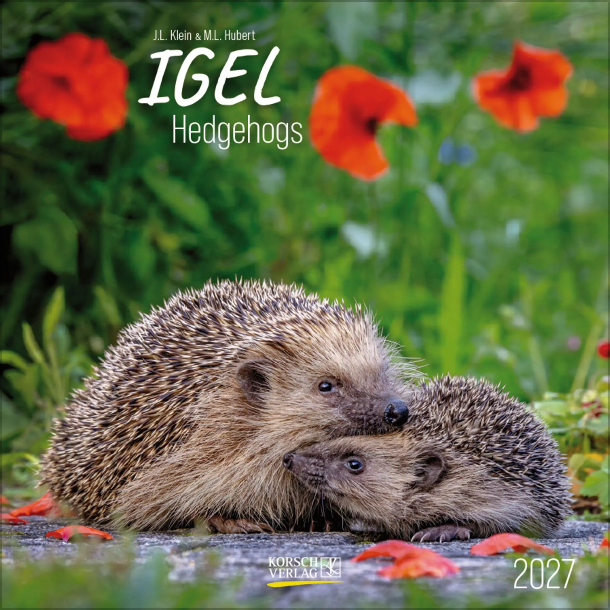 Cover: 9783819303111 | Igel 2027 | Verlag Korsch | Kalender | 13 S. | Deutsch | 2027