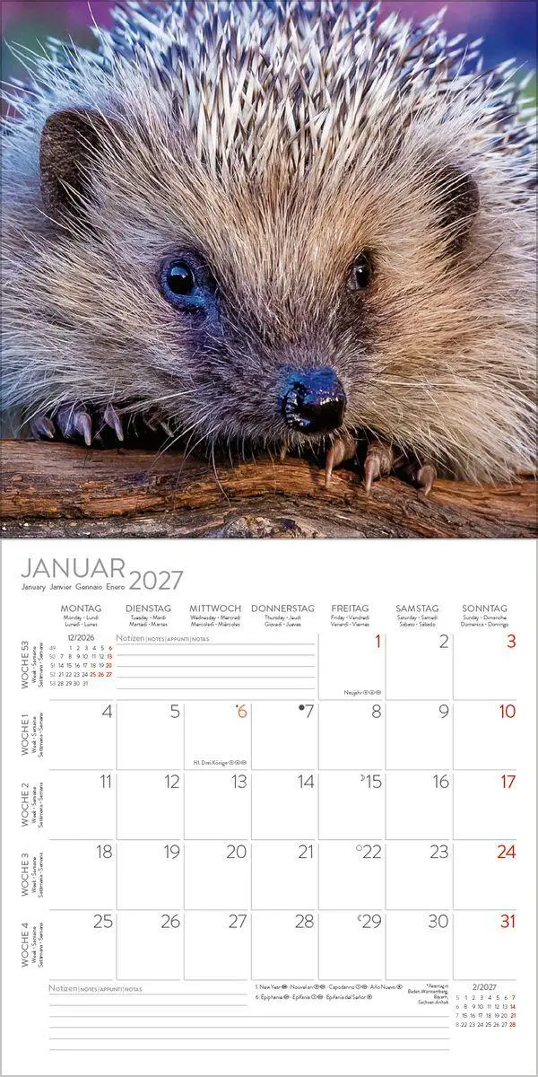 Bild: 9783819303111 | Igel 2027 | Verlag Korsch | Kalender | 13 S. | Deutsch | 2027